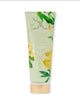 Victoria's Secret Wild Willow fragrance lotion 236ml